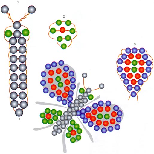 Бабочка из бисера схема простая для детей